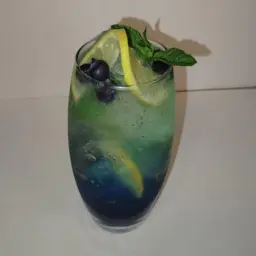Blueberry Mojito